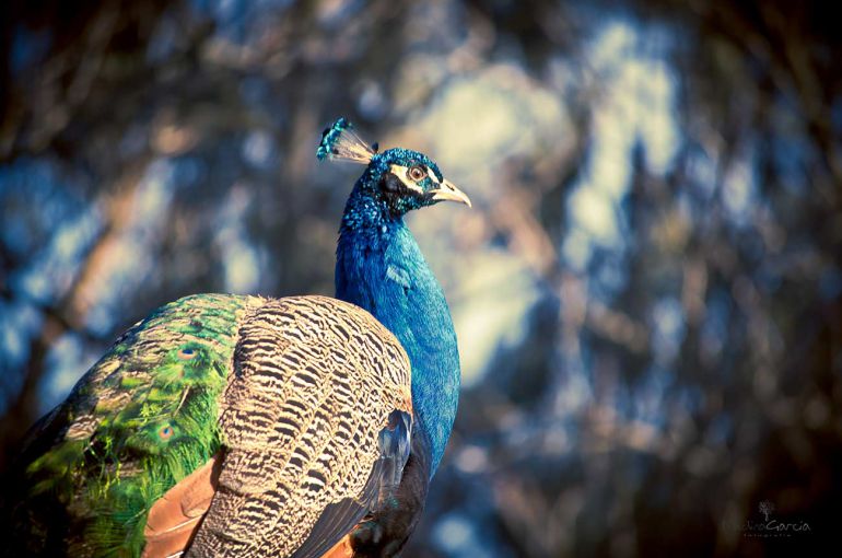 Parque Isabel La Católica